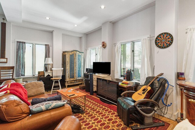 living room featuring wood-type flooring