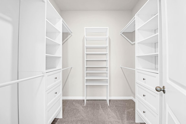 walk in closet with light colored carpet