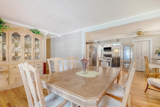 dining space featuring ceiling fan, ornamental molding, and light hardwood / wood-style floors