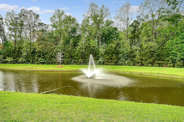 view of water feature