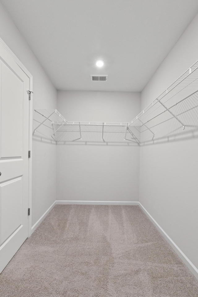 514 Purple Finch Rd, Summerville, SC 29486 - walk in closet with carpet floors