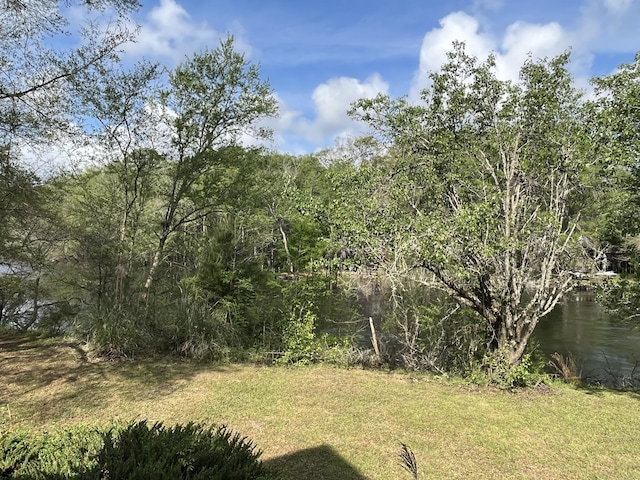 view of yard with a water view