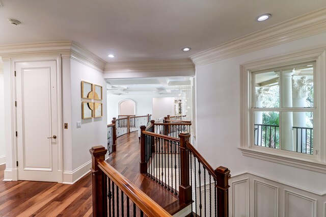 hall with crown molding and dark hardwood / wood-style floors