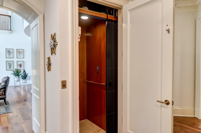 hall featuring ornamental molding and light hardwood / wood-style flooring