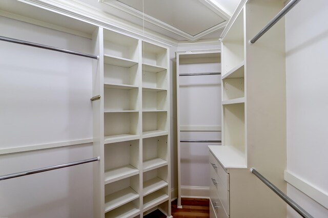 walk in closet with dark hardwood / wood-style flooring