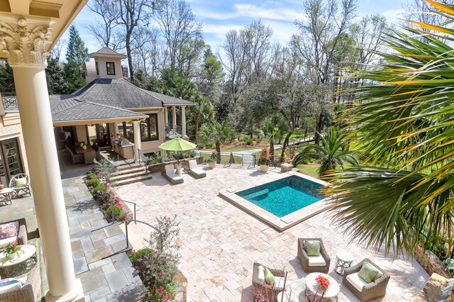 view of pool featuring a patio