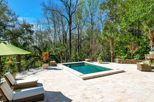 view of swimming pool featuring a patio