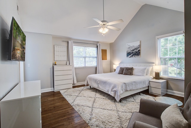 2916 Shadow Ln, North Charleston, SC 29406 - bedroom with dark wood-type flooring, multiple windows, baseboards, and high vaulted ceiling