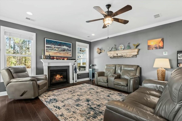 living room with ornamental molding, dark hardwood / wood-style floors, and ceiling fan