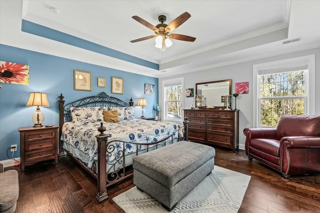 bedroom with multiple windows, a tray ceiling, and ceiling fan