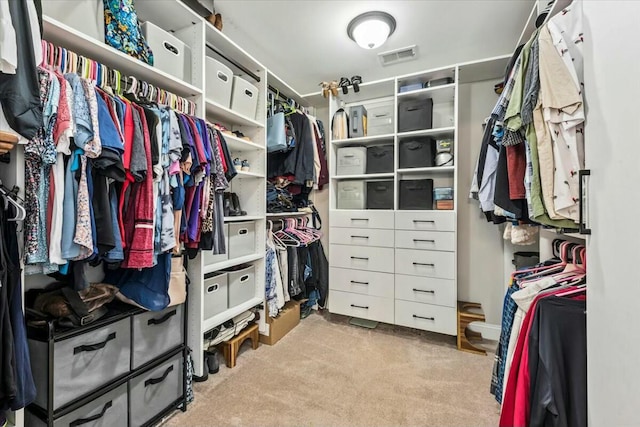 spacious closet with light colored carpet