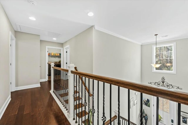 hall with crown molding and dark hardwood / wood-style flooring