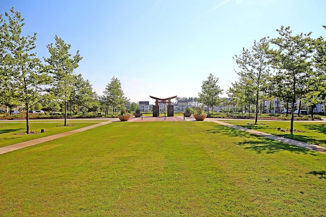 view of community featuring a yard