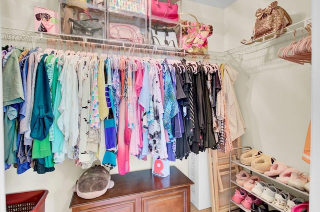 104 Lancaster Ct, Goose Creek, SC 29445 - view of spacious closet