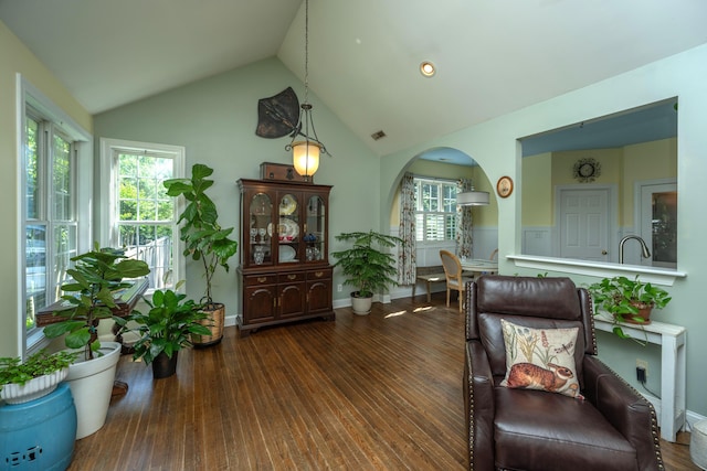 living area with dark hardwood / wood-style floors and high vaulted ceiling