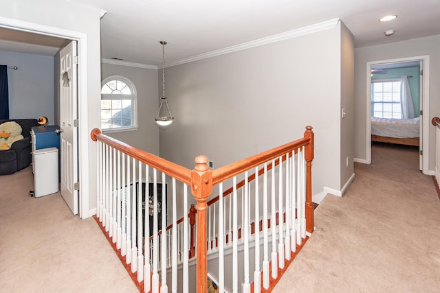 hallway featuring a healthy amount of sunlight, light colored carpet, and ornamental molding