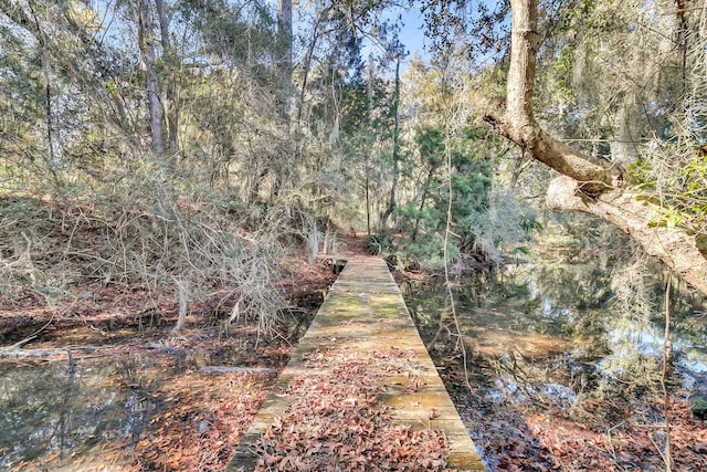 view of local wilderness