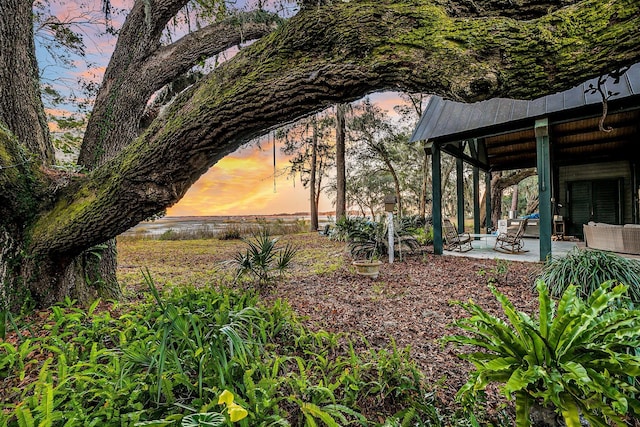 yard at dusk with a patio