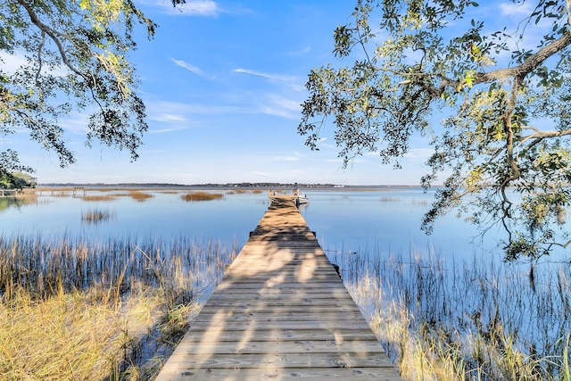 dock area with a water view