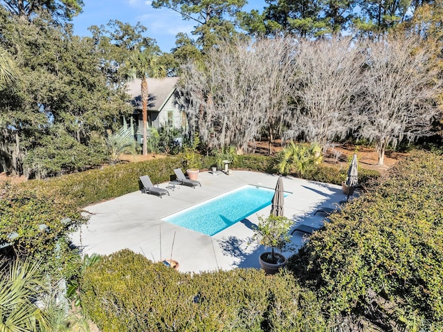 view of pool with a patio