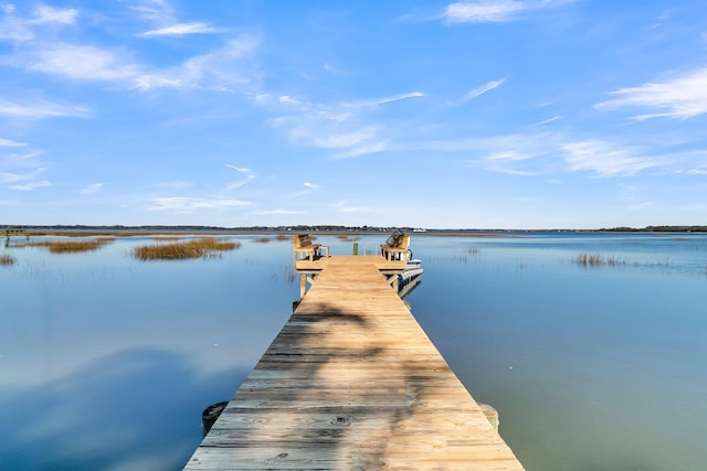 dock area with a water view