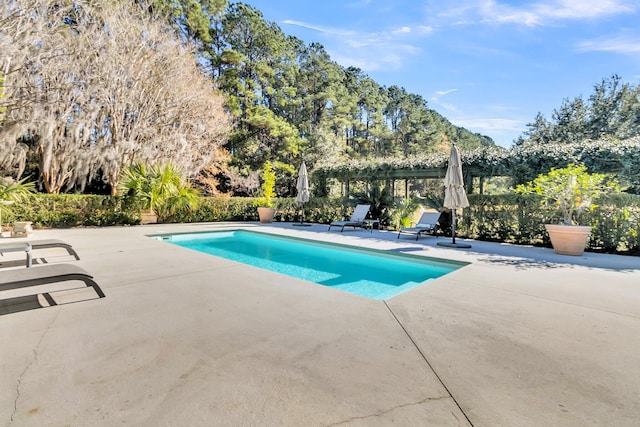 view of pool with a patio