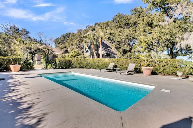 view of pool with a patio