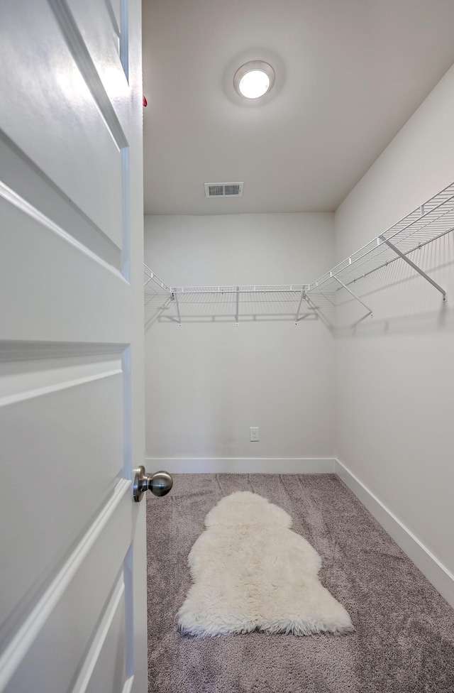 7803 Park Gate Dr, Charleston, SC 29418 - spacious closet with carpet floors and visible vents