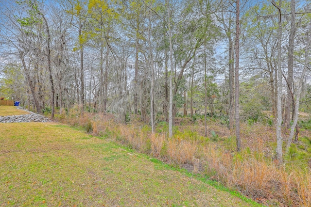 7803 Park Gate Dr, Charleston, SC 29418 - view of yard