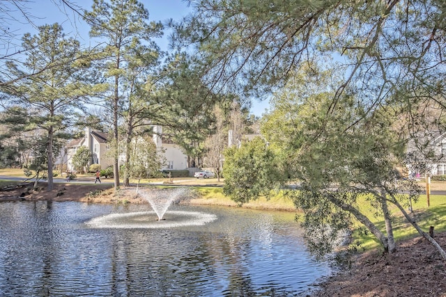 7803 Park Gate Dr, Charleston, SC 29418 - property view of water
