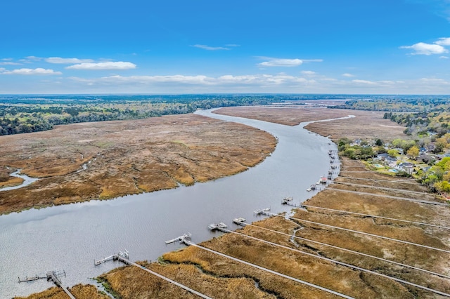 7803 Park Gate Dr, Charleston, SC 29418 - birds eye view of property with a water view