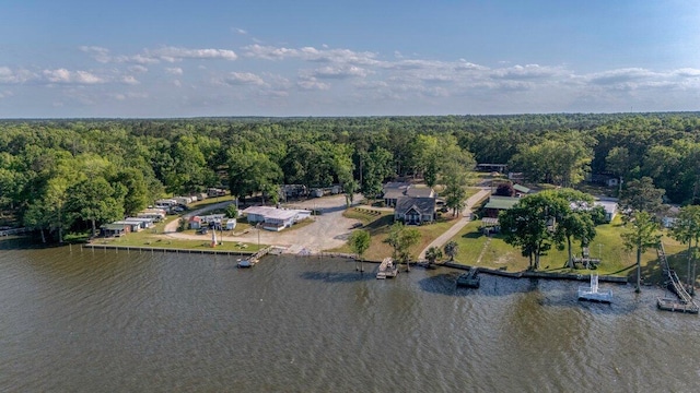 1601 Old River Rd, Elloree, SC 29047 - bird's eye view of a forest and a nearby body of water