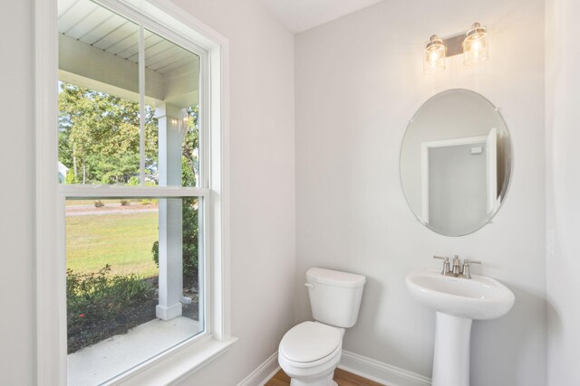 bathroom with hardwood / wood-style floors and toilet