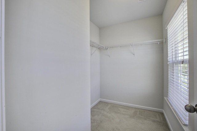 walk in closet with carpet