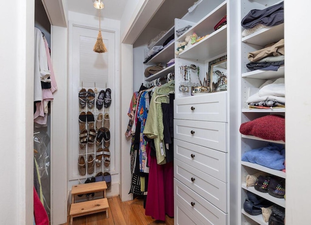 walk in closet with wood finished floors