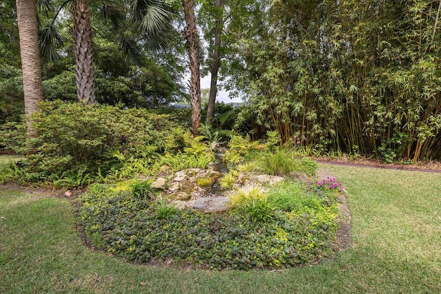 view of grassy yard