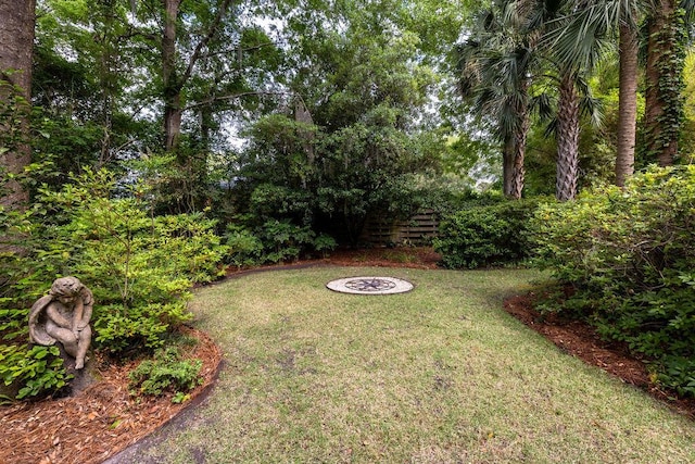 view of green lawn
