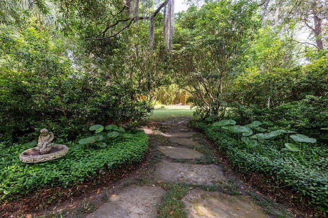 view of yard with a view of trees