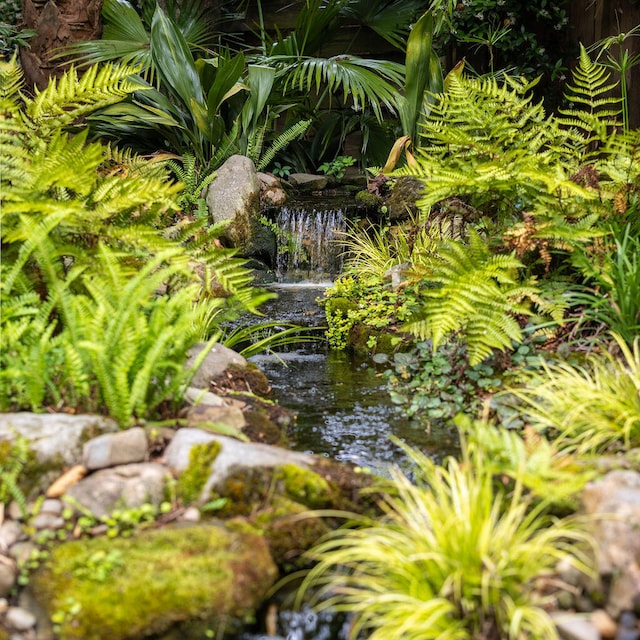 exterior view of a small pond