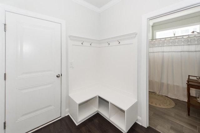 mudroom featuring dark hardwood / wood-style floors and crown molding