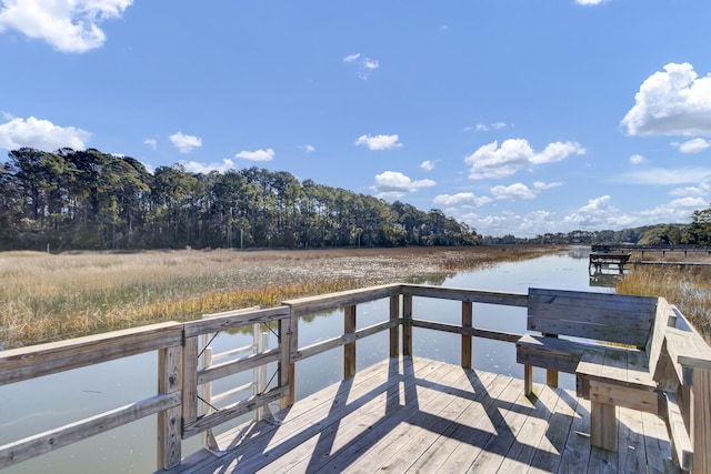 dock area featuring a water view