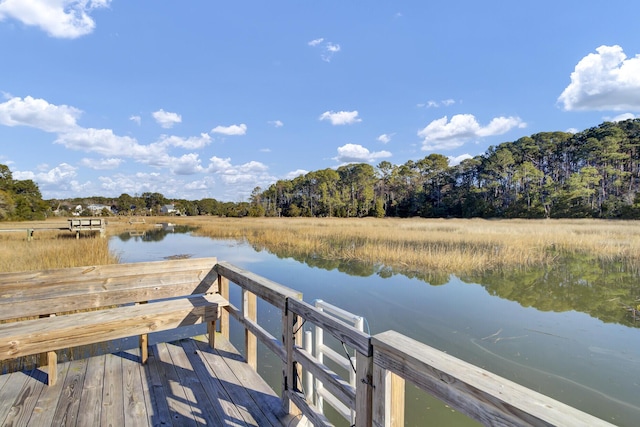 dock area featuring a water view