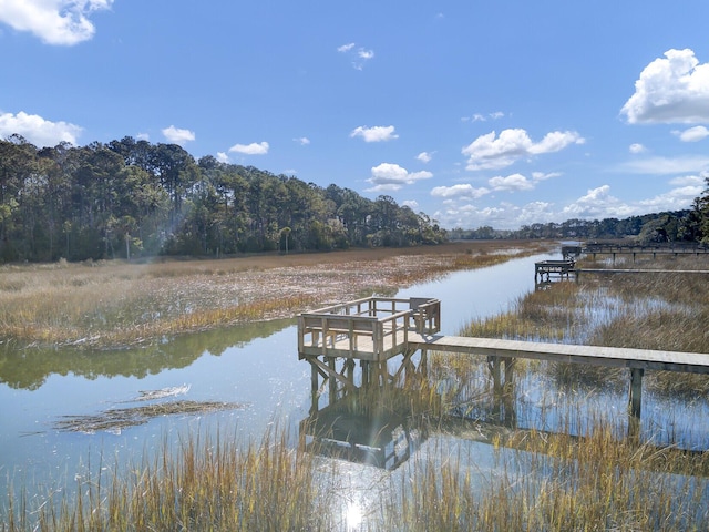 dock area featuring a water view