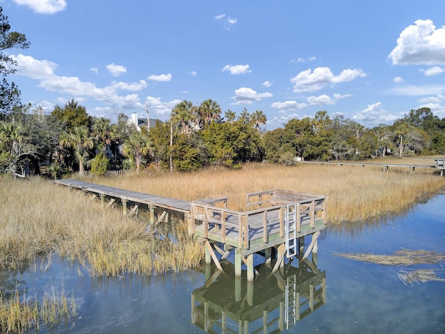 dock area featuring a water view