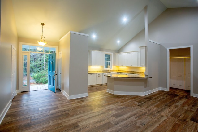 foyer with baseboards, dark wood-type flooring, and high vaulted ceiling