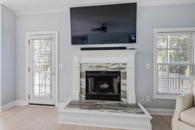 1250 White Tail Path, Charleston, SC 29414 - living area with wood finished floors, a high end fireplace, crown molding, baseboards, and ceiling fan