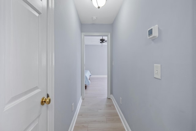 1250 White Tail Path, Charleston, SC 29414 - hallway with light wood-style flooring and baseboards
