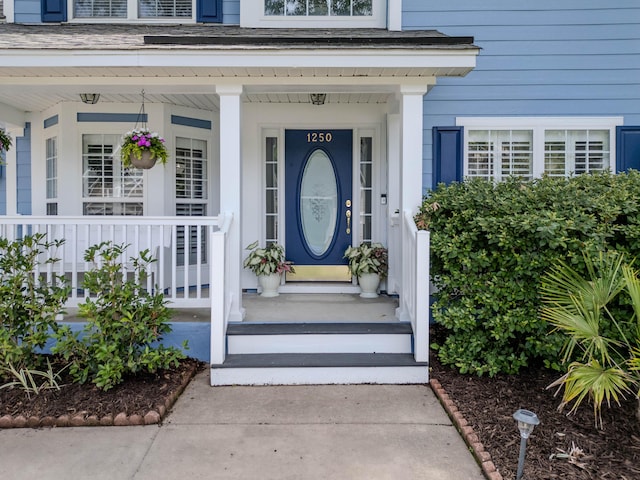 1250 White Tail Path, Charleston, SC 29414 - property entrance with a porch