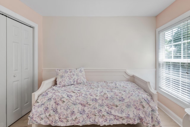 1250 White Tail Path, Charleston, SC 29414 - bedroom with a closet and light wood finished floors
