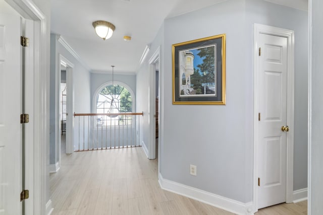 1250 White Tail Path, Charleston, SC 29414 - hall with baseboards, light wood-style flooring, ornamental molding, and a chandelier